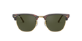 Clubmaster - Tortoise - G-15 Green