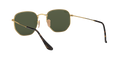 Ray-Ban Hexagonal Solglasögon