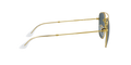 RB3557 - Legend Gold - Blue