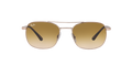 RB3670 - Copper - Clear Gradient Brown