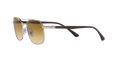RB3670 - Copper - Clear Gradient Brown