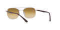 RB3670 - Copper - Clear Gradient Brown