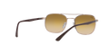 RB3670 - Copper - Clear Gradient Brown