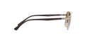 RB3670 - Copper - Clear Gradient Brown