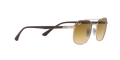 RB3670 - Copper - Clear Gradient Brown