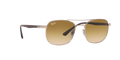 RB3670 - Copper - Clear Gradient Brown