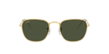 Ray-Ban Frank Solglasögon