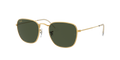 Ray-Ban Frank Solglasögon