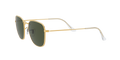 Ray-Ban Frank Solglasögon