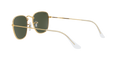 Ray-Ban Frank Solglasögon