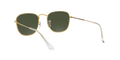 Ray-Ban Frank Solglasögon