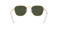 Ray-Ban Frank Solglasögon