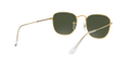 Ray-Ban Frank Solglasögon