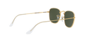 Ray-Ban Frank Solglasögon