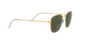 Ray-Ban Frank Solglasögon