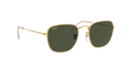 Ray-Ban Frank Solglasögon