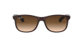Ray-Ban Andy Solglasögon - Matte Brown On Brown