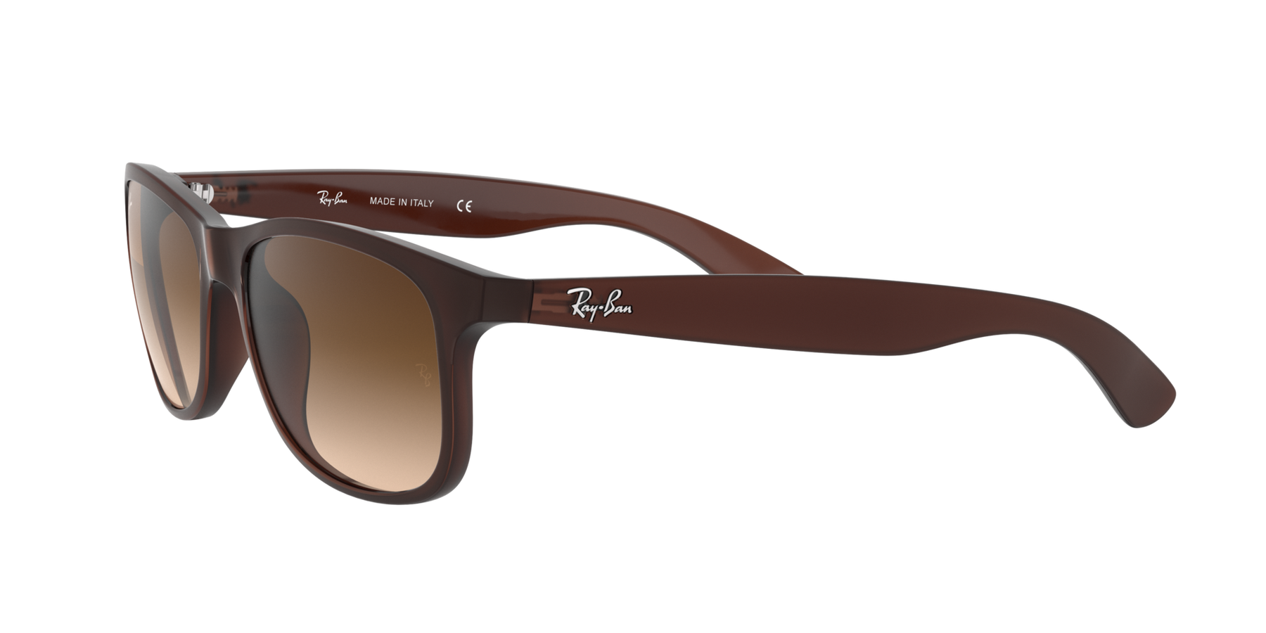 Ray-Ban Andy Solglasögon - Matte Brown On Brown