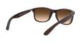 Ray-Ban Andy Solglasögon - Matte Brown On Brown
