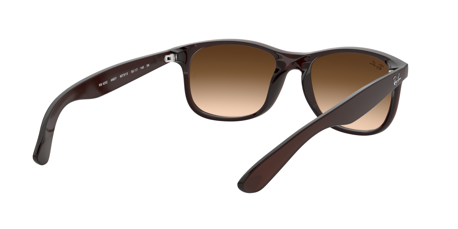 Ray-Ban Andy Solglasögon - Matte Brown On Brown