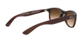 Ray-Ban Andy Solglasögon - Matte Brown On Brown