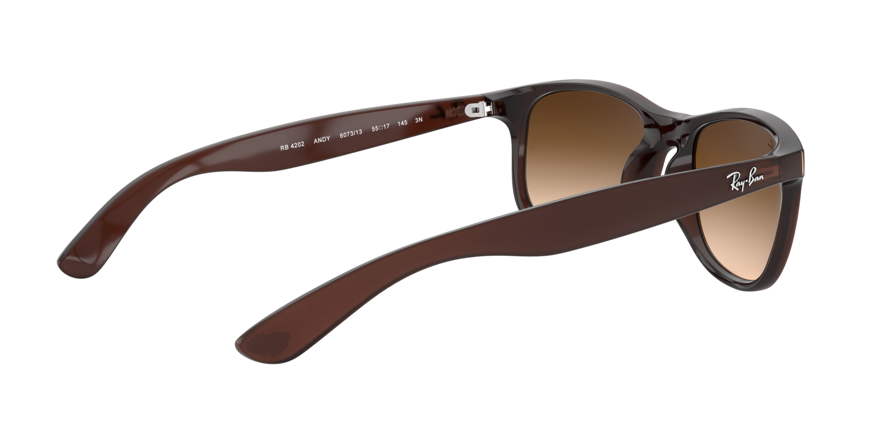 Ray-Ban Andy Solglasögon - Matte Brown On Brown