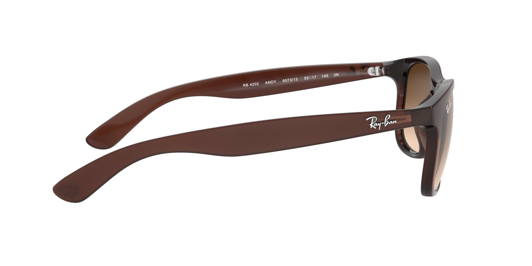 Ray-Ban Andy Solglasögon - Matte Brown On Brown