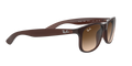 Ray-Ban Andy Solglasögon - Matte Brown On Brown