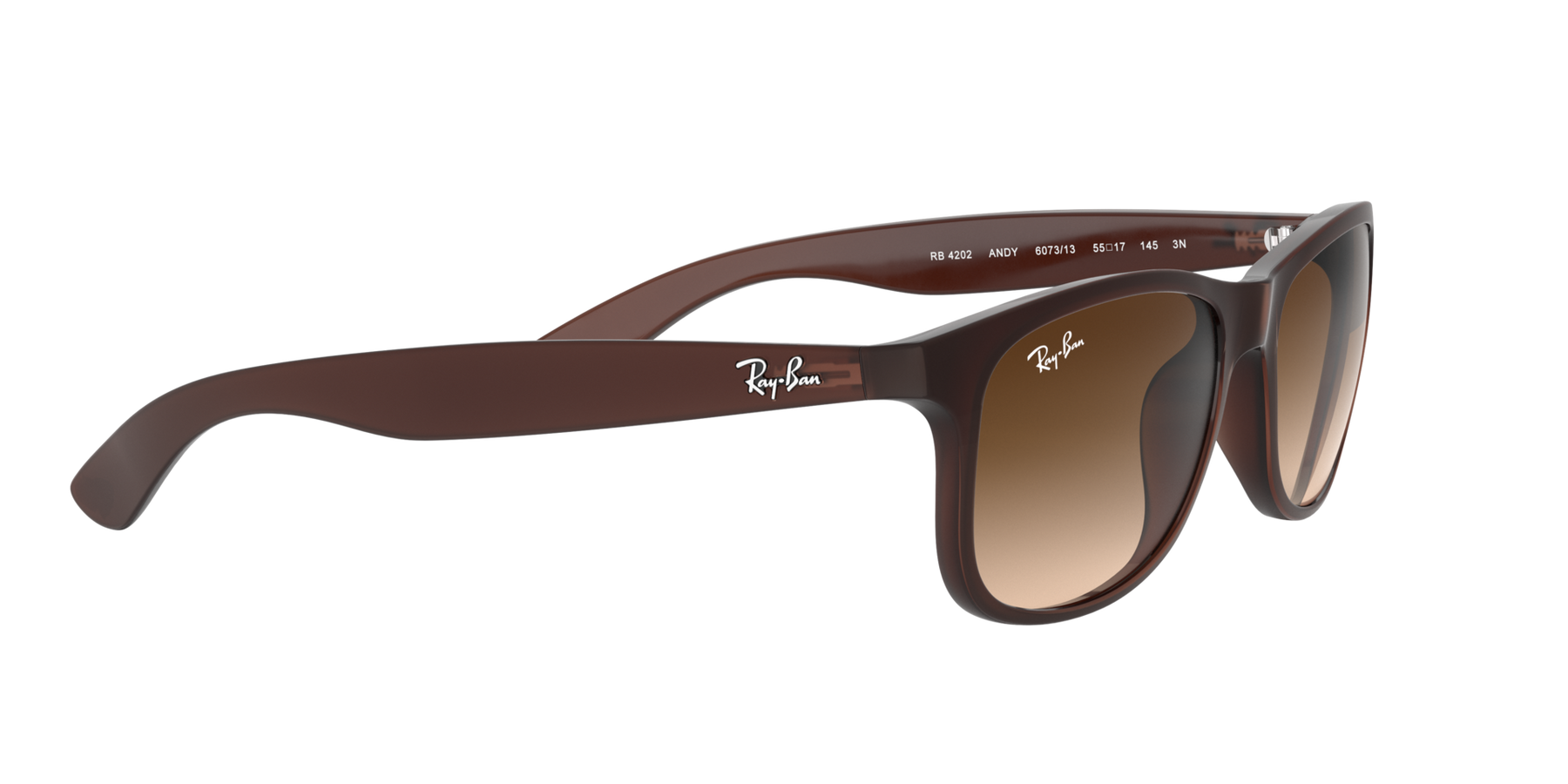 Ray-Ban Andy Solglasögon - Matte Brown On Brown