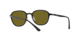 RB4341CH - Sanding Black - Green Mirror Blue Polarized