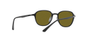 RB4341CH - Sanding Black - Green Mirror Blue Polarized
