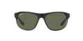RB4351 - Black On Transparent - Dark Green Polarized