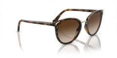 0VO5230S - Tortoise