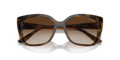 0VO5337S - Dark Havana