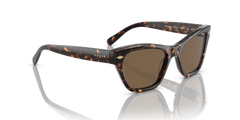 0VO5445S - Dark Havana/Dark Brown