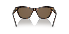 0VO5445S - Dark Havana/Dark Brown