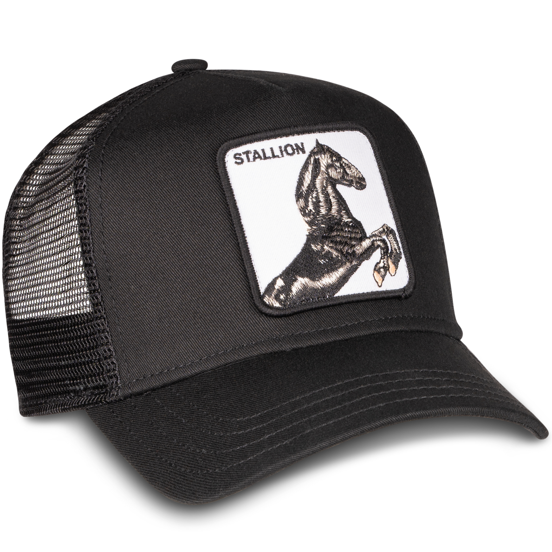 The Stallion - Black