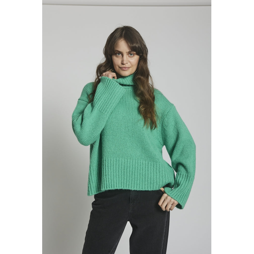 Fuscia Knit Top - Grön