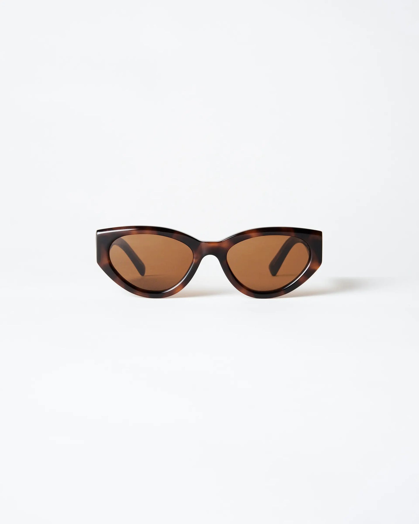 Tortoise #06.2