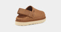W Goldenstar Clog - Chestnut