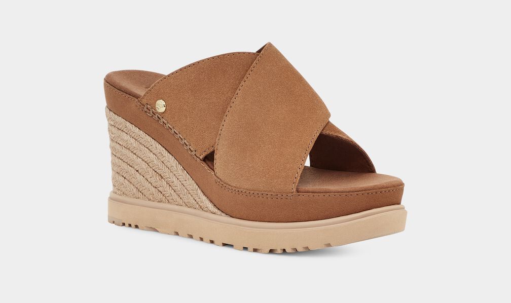 W Abbot Slide - Chestnut