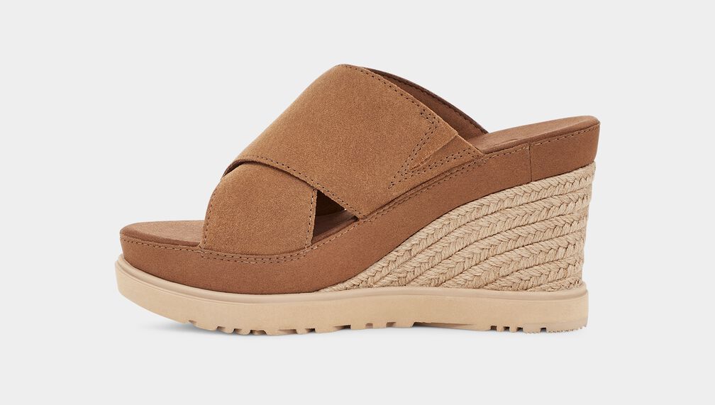 W Abbot Slide - Chestnut