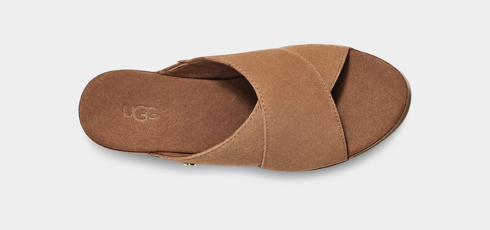 W Abbot Slide - Chestnut