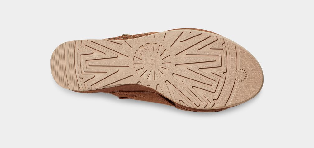W Abbot Slide - Chestnut