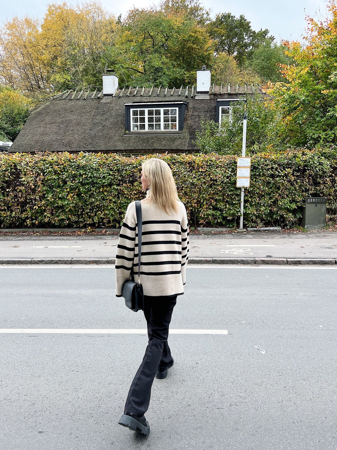 Fanning Stripe Knit Blouse - Sand