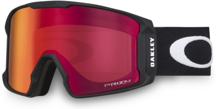 Line Miner L Matte Black - Prizm Torch - Goggles