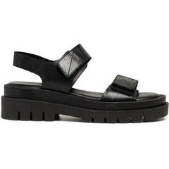 Olive - Black