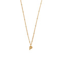 Initial P Satellite Chain Neck - Pale Gold