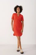 AminasePW Dress - Grenadine