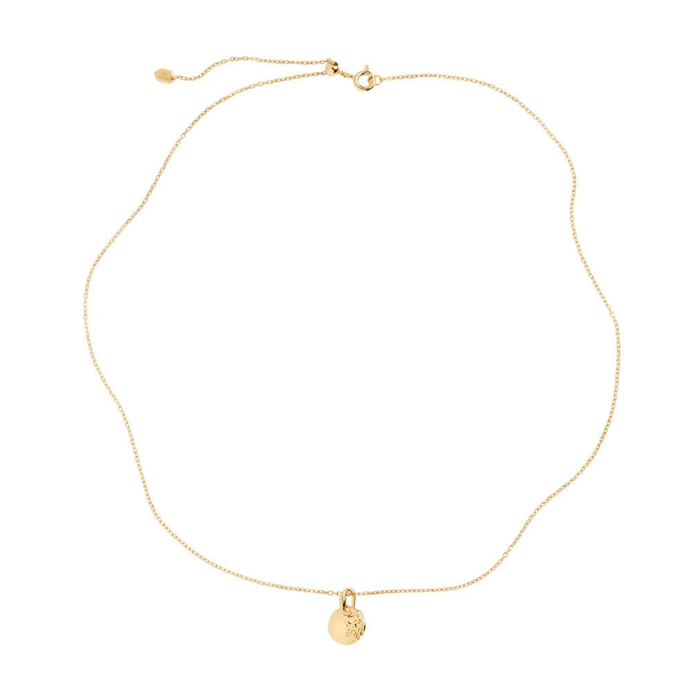Aspen 50 Halsband - Guld